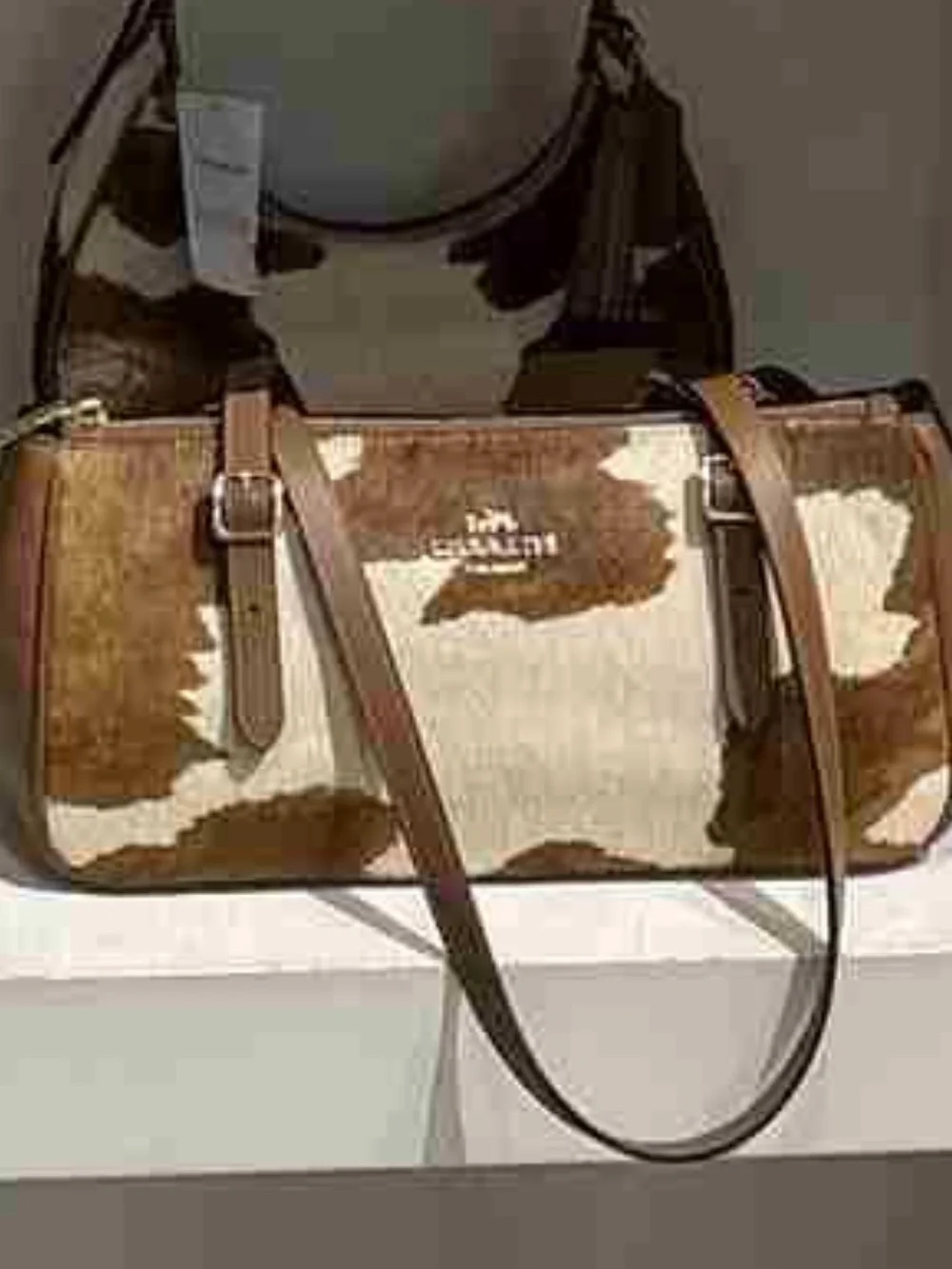 NWT Coach Asher Shoulder Bag In Haircalf With Cow Print CDW46 Gold/Cow🎀